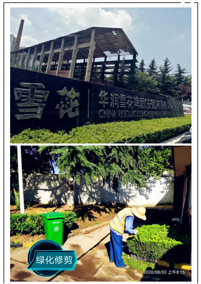 微信图片_20200808102228.png